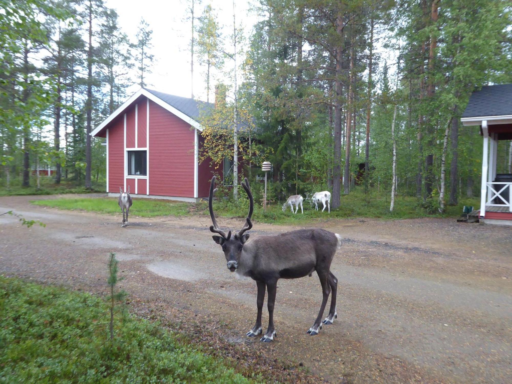 Maentymajat Villa Äkäslompolo Стая снимка